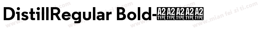 DistillRegular Bold字体转换